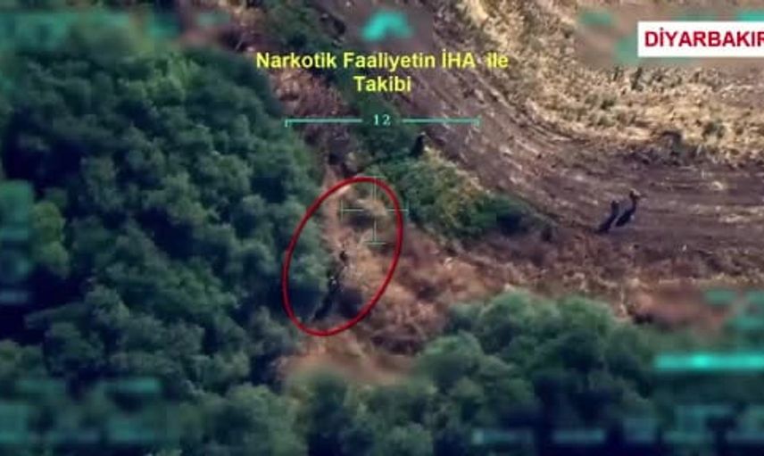 Diyarbakır'da yasa dışı kenevir ekimine operasyon düzenlendi