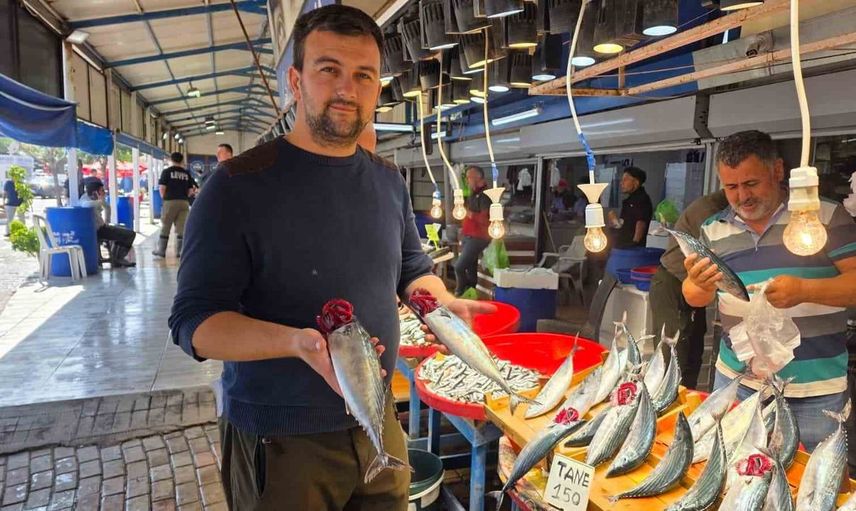 Bandırma'da balık sezonu açıldı: Palamut rekor fiyatlarla tezgâhlarda