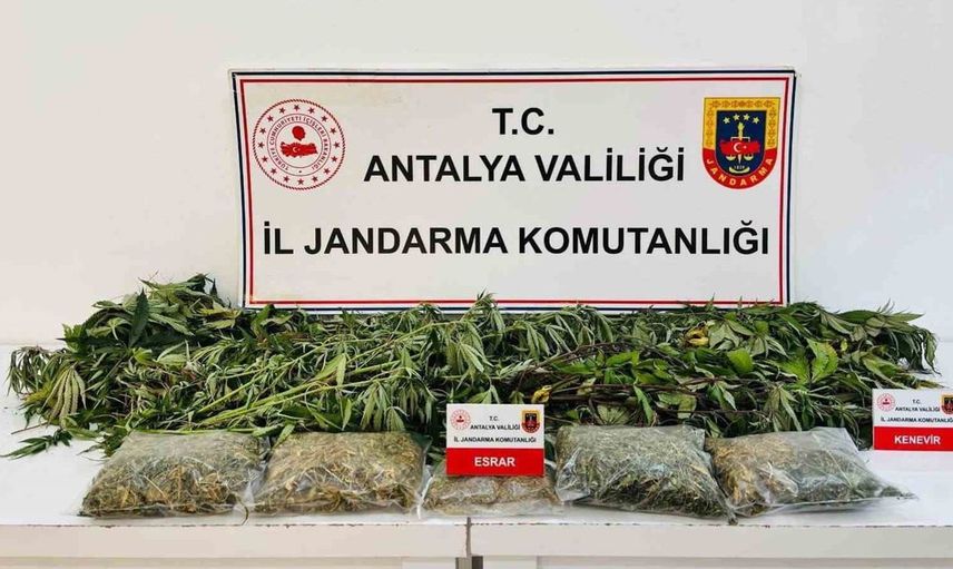 Alanya'da uyuşturucu operasyonu: 24 kök kenevir ile 2 kilo esrar ele geçirildi