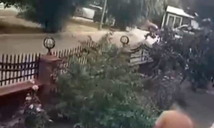 İzmir'de kediye tekme atan saldırgan adliyeye sevk edildi