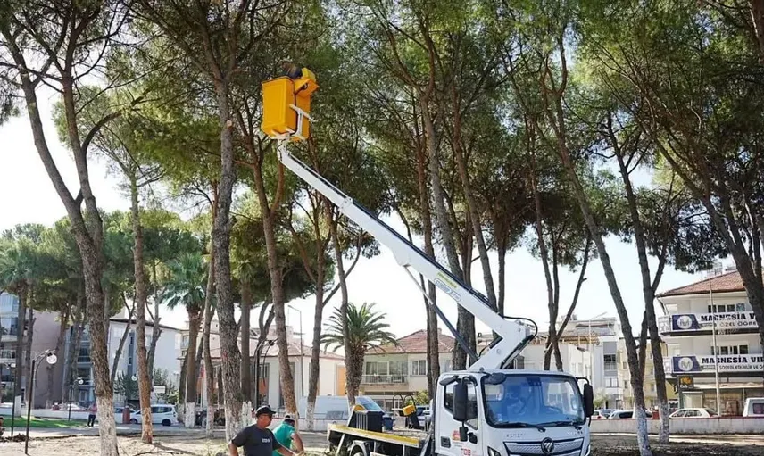 Germencik'te 22. geleneksel incir festivali için hazırlıklar sürüyor