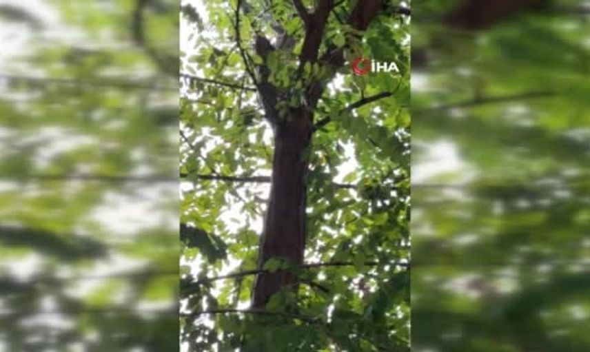 Düğün salonunda çıkan yangın panoyu patlattı: Osmaniye'de güvenlik önlemleri alındı