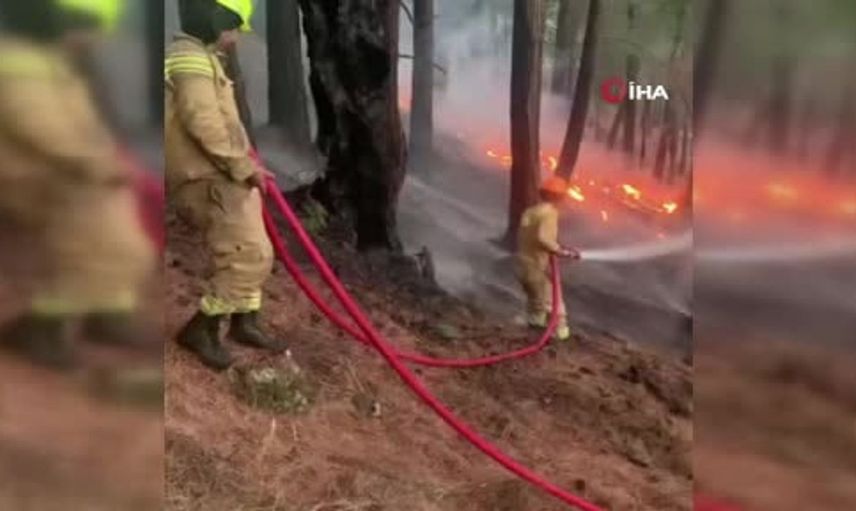 Manavgat’taki orman yangınında kontrol çalışmaları devam ediyor