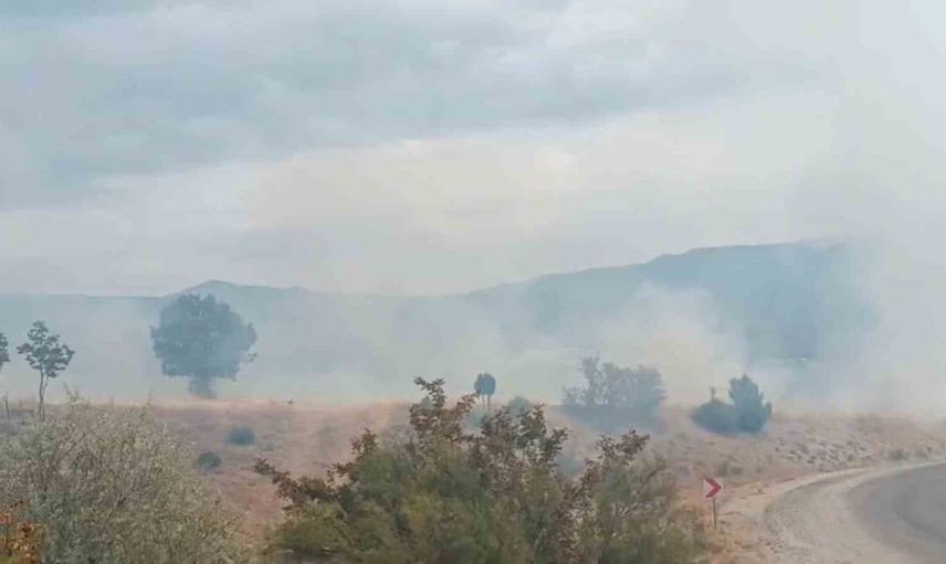 Bolu'da önemli yangın tehlikesi bertaraf edildi: Boş arazide çıkan yangın ormana ulaşmadan söndürüldü