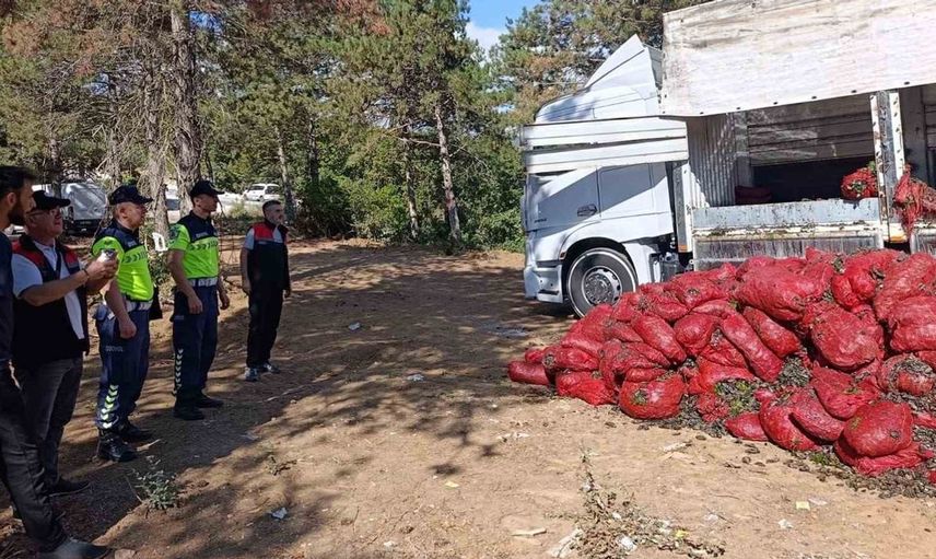 Bursa'da gerçekleştirilen denetimlerde 8 ton midye yakalandı