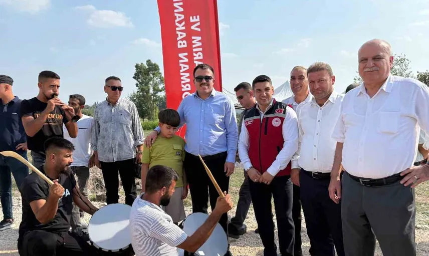 Osmaniye'de yerli ayçiçeği hasadı başladı: Tarımda yeni bir dönem açılıyor