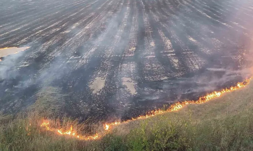 Kastamonu'da çıkan yangında tarlalar büyük zarar gördü