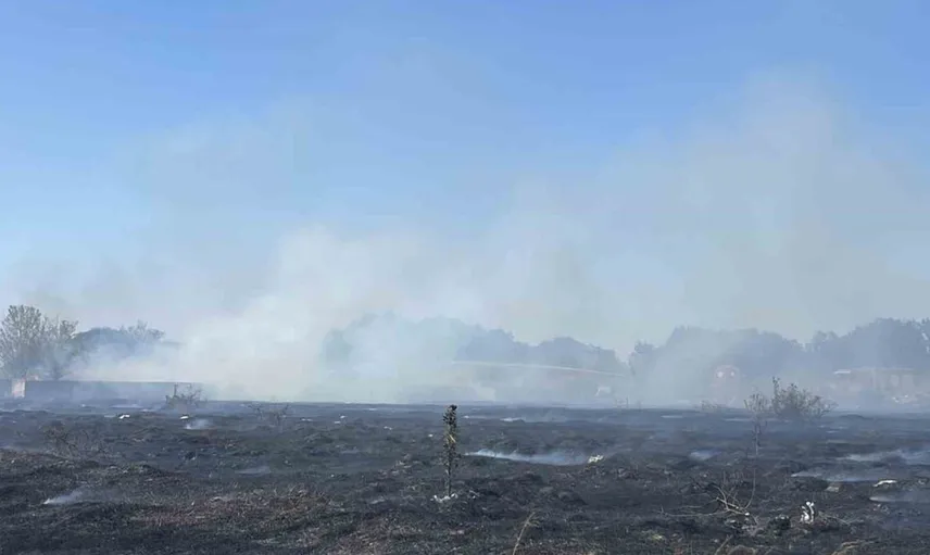 Tekirdağ'da çıkan yangına müdahale süratle yapıldı