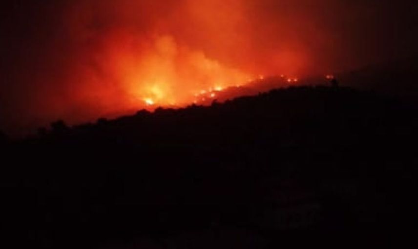 Aydın'daki yangın gecenin karanlığını aydınlattı