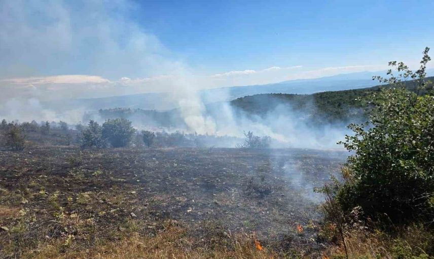 Kastamonu'daki orman yangını ekiplerin hızlı müdahalesiyle söndürüldü