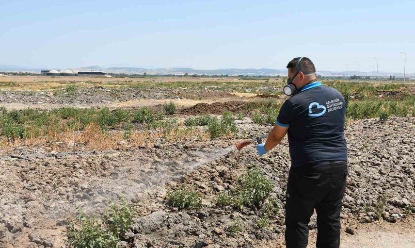 Balıkesir'de ilaçlama ekipleri 7/24 sahada