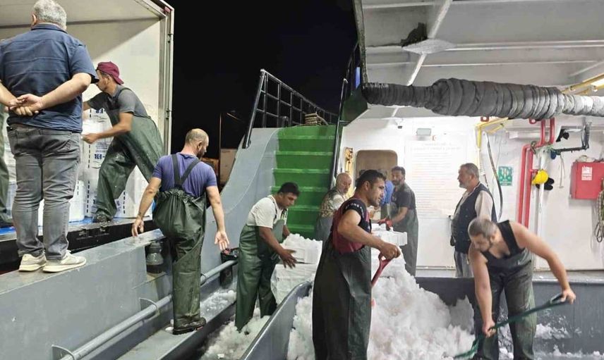 Akçakoca'da palamut avına yönelik denetimler artırıldı