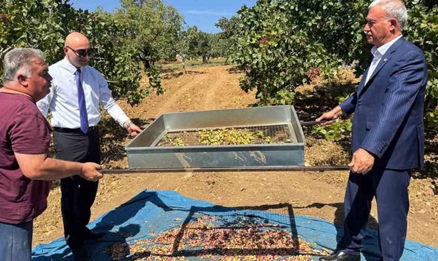 Araban’da Antep fıstığı hasadı başladı