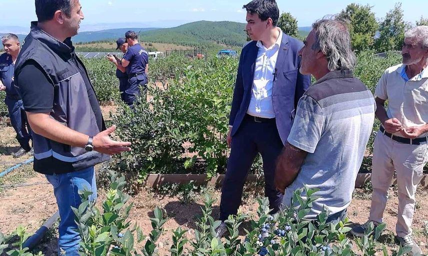 Kurak arazi devlet desteğiyle bereketli topraklara dönüştü