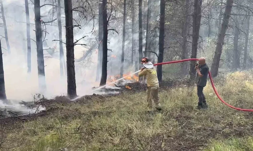 Kastamonu'daki orman yangını kısa sürede kontrol altına alındı