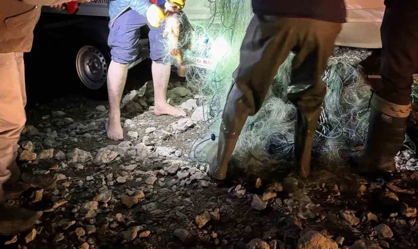 Devrekani'de barajda bulunan 2 bin 500 metre ağdan 225 sazan kurtarıldı