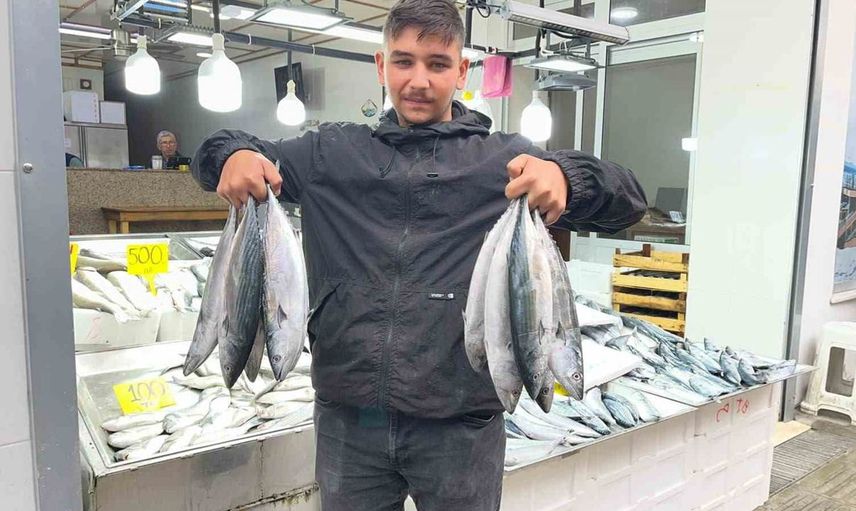 Sinop'ta balık sezonu açıldı: Palamut fiyatları 50 liraya kadar düştü