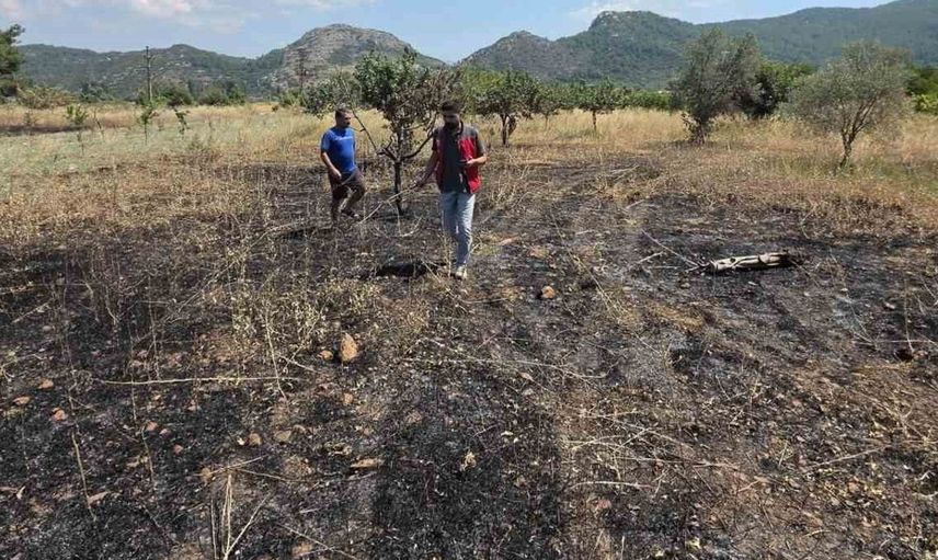Menteşe'de yangın sonrası tarım alanları için hasar tespit çalışmaları devam ediyor