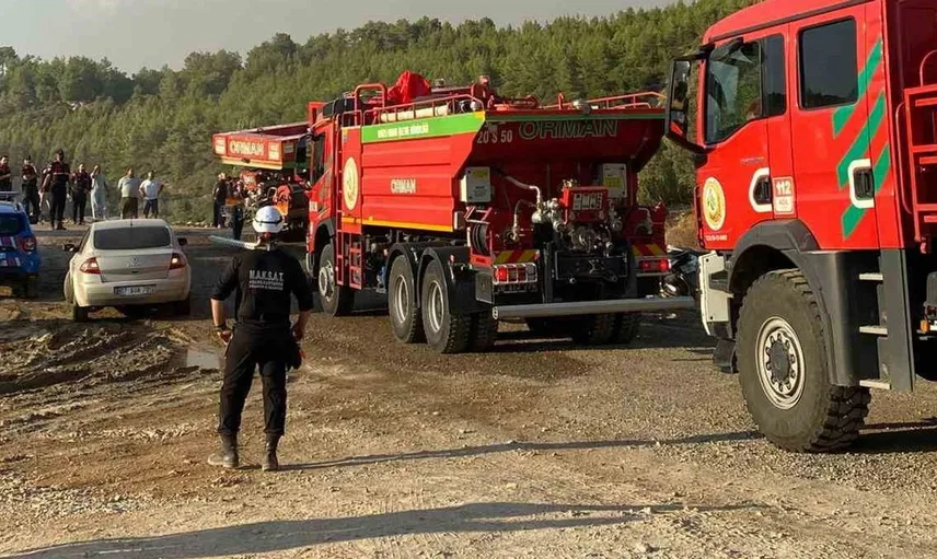 Antalya'daki yangın bölgesinde hayvan tahliye seferberliği