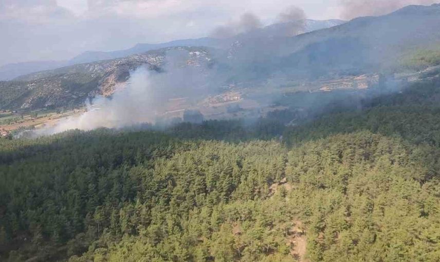Muğla Menteşe'de orman yangını çıktı