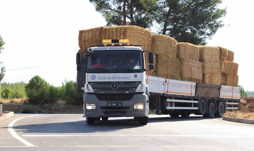 Aksu'da yangın sonrası hayvancılara saman yardımı sağlanıyor