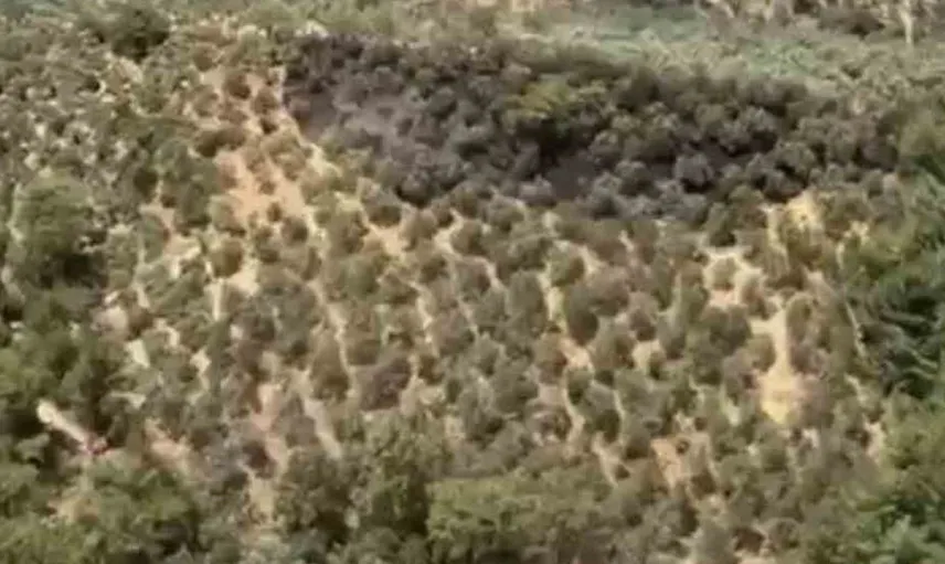 Kazdağları'ndaki yangın büyümeden kontrol altına alındı