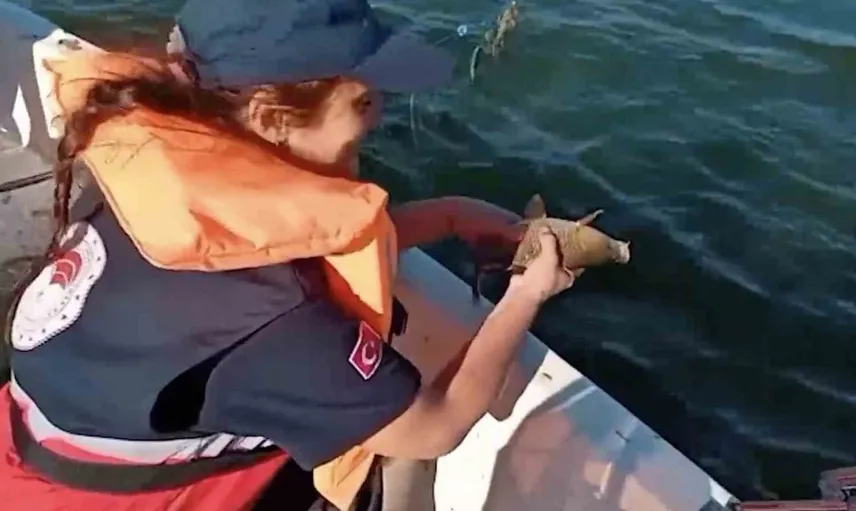 Kastamonu'da kaçak ağlar ele geçirildi, 108 balık yeniden yaşama döndü