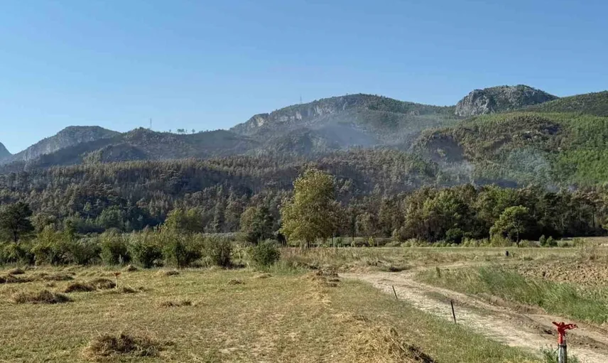 Serik'teki yangın kontrol altına alındı: 160 hektar alan yandı
