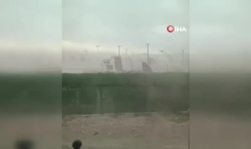 Van'da sabah saatlerinde etkili olan rüzgar, ağaçları ve kamelyaları devirdi