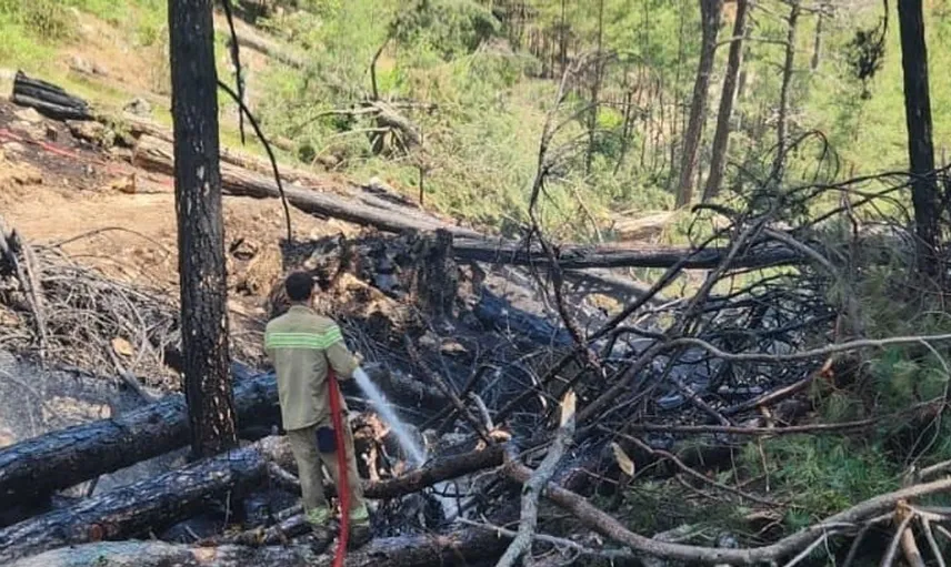 Muğla’da orman yangını büyümeden kontrol altına alındı