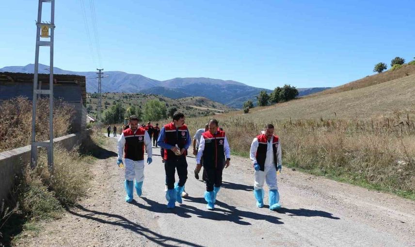 Erzincan'da hayvan sağlığı için kene ilaçlaması başladı