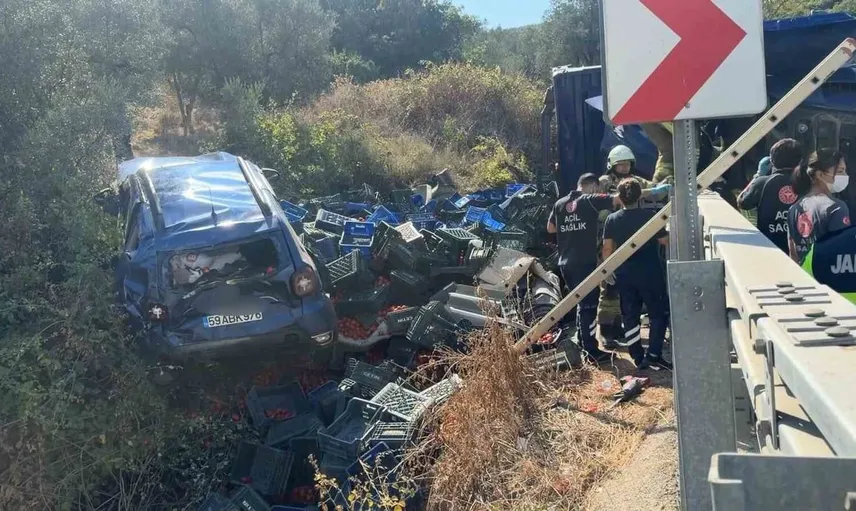 İznik'te kamyon kazası: 1 kişi hayatını kaybetti, 2 yaralı