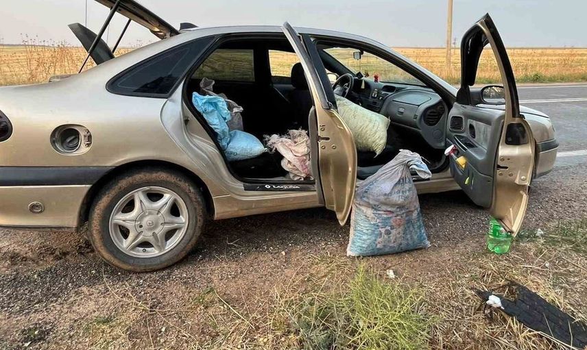 Fıstık hırsızları suçüstü yakalandı: 75 kilogram fıstıkla gözaltına alındılar