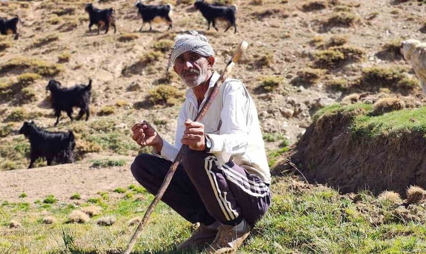 Bursa'dan köyüne dönen Medeni Kortaş, hayvancılıkla hayatına yön verdi