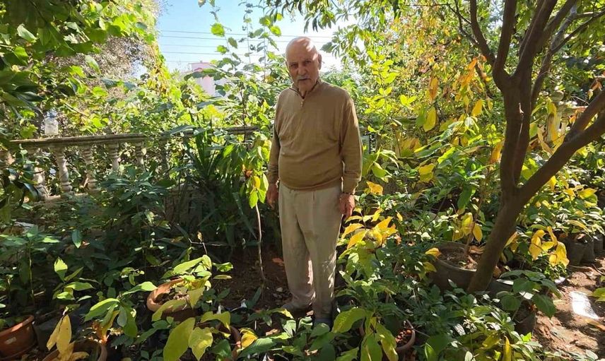 Karadeniz'de pomelo meyvesi yetiştiren emekli öğretmen, 200 çeşit meyve üretiyor