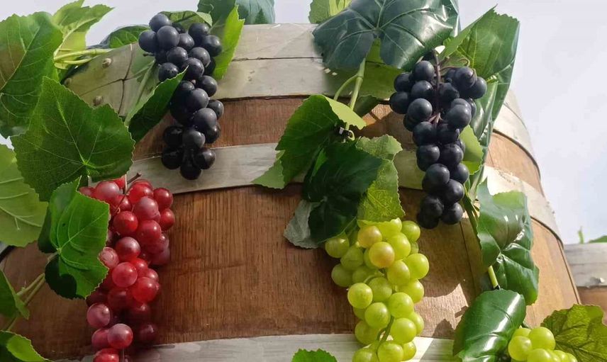 Tekirdağ'da uluslararası gastronomi ve bağcılık festivali renkli görüntülerle başladı