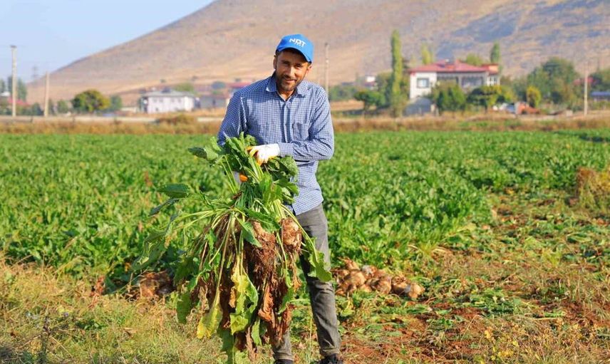 Kahramanmaraş'ta şeker pancarı hasadı ile bereket dönemi başlıyor