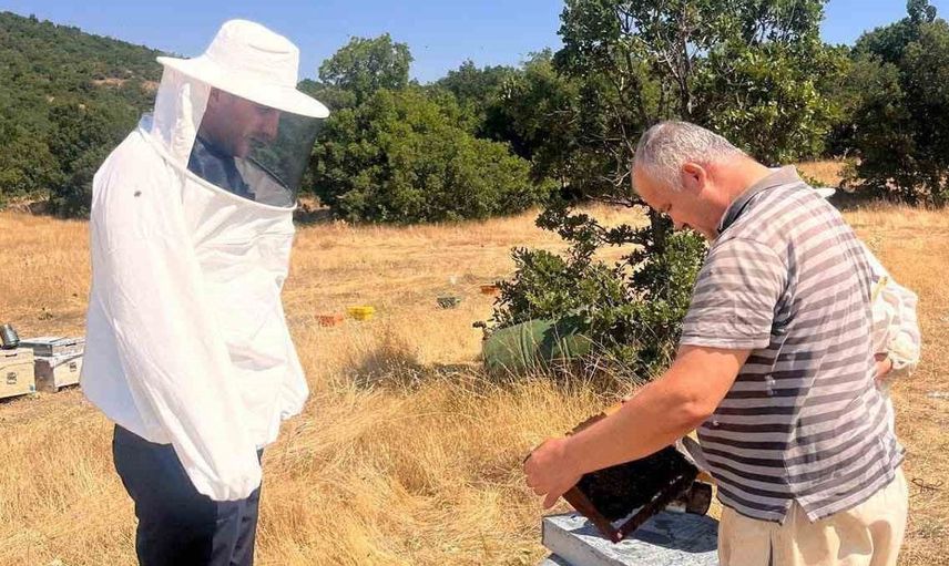Afyonkarahisar'da arıcılık destekleme çalışmaları sürüyor