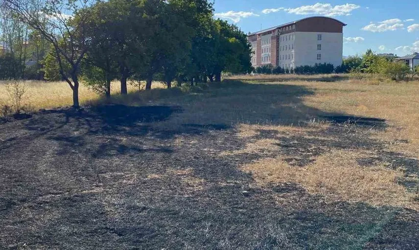 Erzincan'da anız yangını hızlıca kontrol altına alındı
