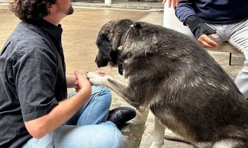 Sinopale 10 başlıyor: Sanatseverleri bekleyen sürprizlerle dolu bir etkinlik