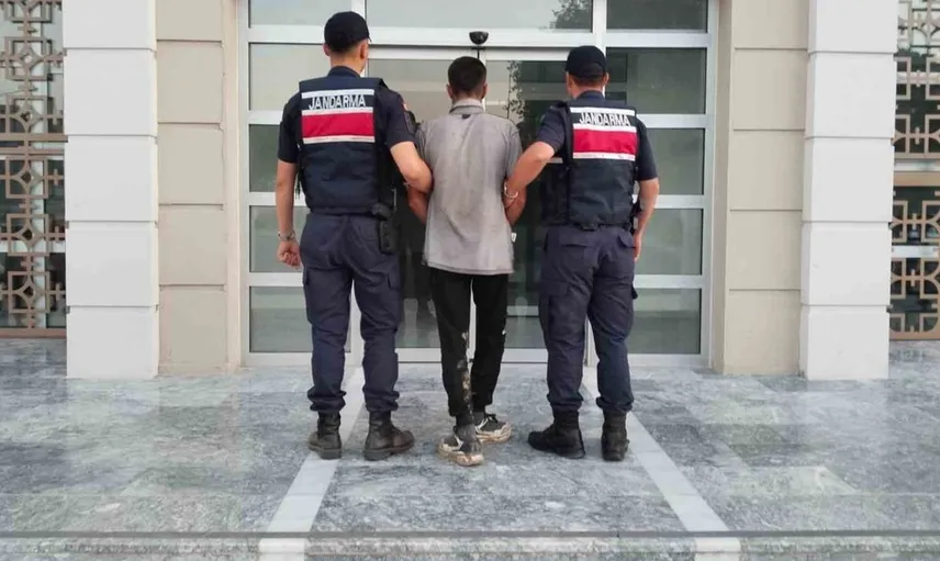 Germencik'te hırsızlık sırasında yakalanan incir hırsızı adliyeye sevk edildi