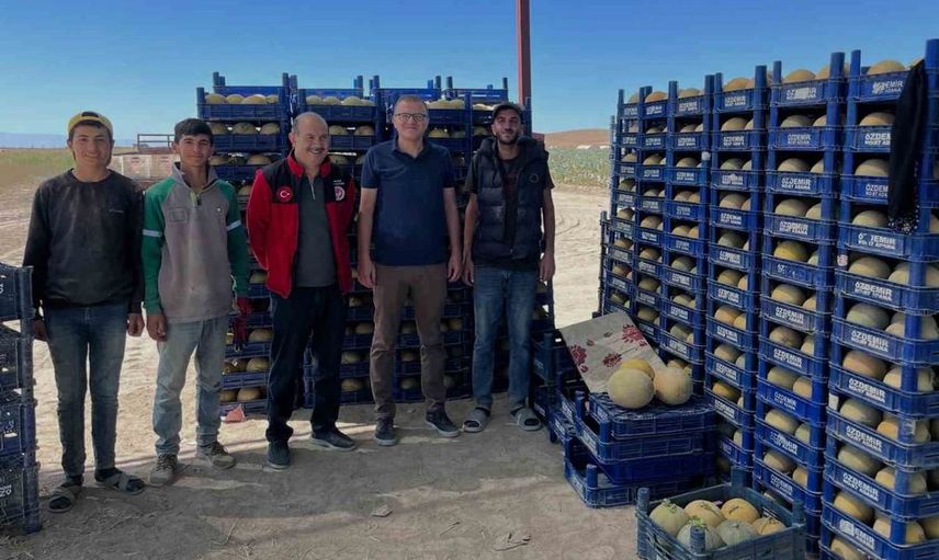 Bor'da tarım arazilerinde hareketlilik: Domates ve kavun hasadı başladı
