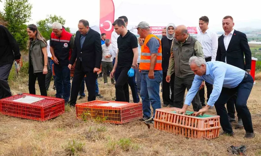 Erbaa Belediyesi'nden doğal dengeyi korumak için sülün ve keklik salınımı