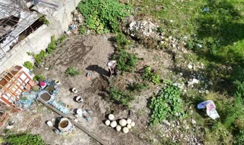 90 yaşındaki adam, enkazdan bahçe yaratarak komşularına ürün dağıtıyor