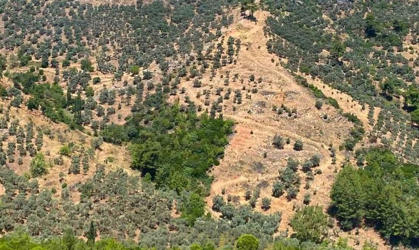 Bakan Yumaklı: yangını tamamen kontrol altına almak için çalışmalarımız sürüyor