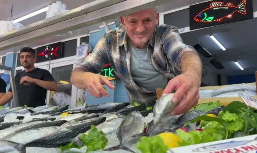 Bolu'da palamut sezonu açıldı: Balıkçılar yüzünü güldürüyor