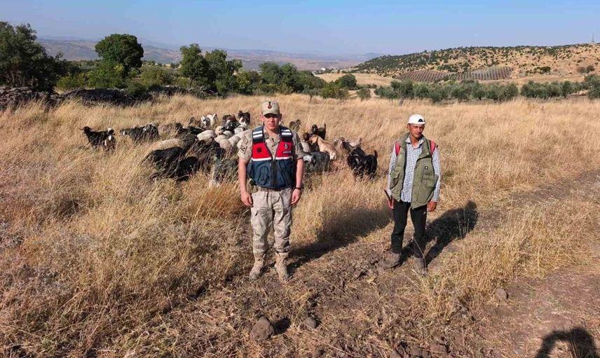 Kilis’te kaybolan 50 küçükbaş hayvan bulundu ve sahibine teslim edildi