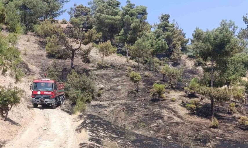 Kahramanmaraş'ta orman yangınına hızlı müdahale: Kontrol altına alındı