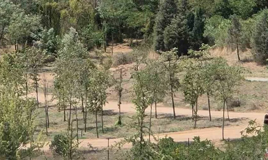 Kocaeli'deki orman yangını hızlı müdahaleyle kontrol altına alındı