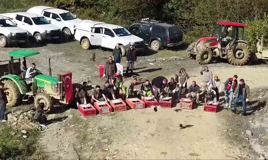 Sinop'ta doğaya 550 sülün salındı